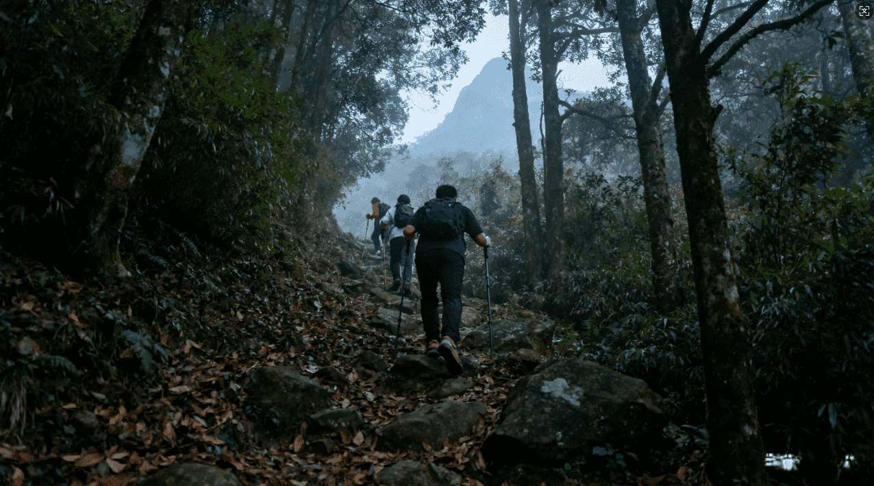 西柚加速器帮您快速突破网络限制